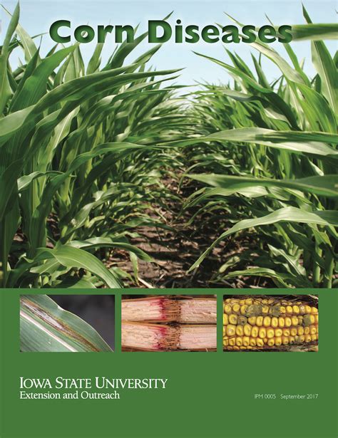 New Corn Diseases Booklet Available Integrated Pest Management