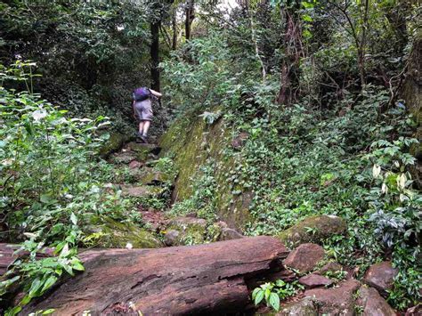 Hiking Sri Lankas Knuckles To Meemure And Corbetts Gap Ramblin Boy