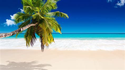 Browse this list of free backgrounds for your desktop or mobile escape to this scenic tropical beach. Tropical Beach Wallpapers, Pictures, Images