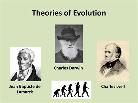Ppt Theories Of Evolution Powerpoint Presentation Free Download Id