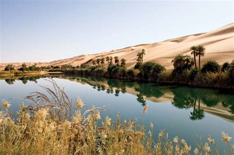 Oasis Desert Oasis Arid Climate And Water Sources Britannica