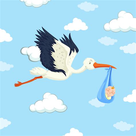 Stork Baby Boy