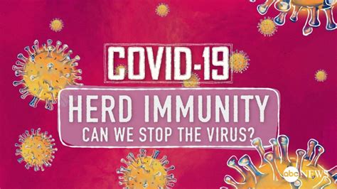 How Herd Immunity From Coronavirus Is Developed Good Morning America