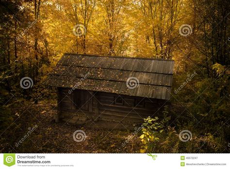 Cabin In The Woods Stock Image Image Of House Gold 45572247