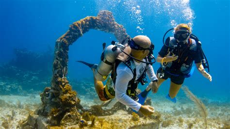 2 Day Discover Scuba Diving Learn To Dive Cancun Project Expedition