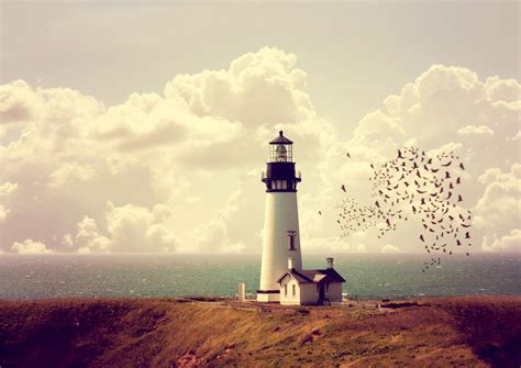 White And Black Lighthouse Lighthouse Birds Hd Wallpaper Wallpaper