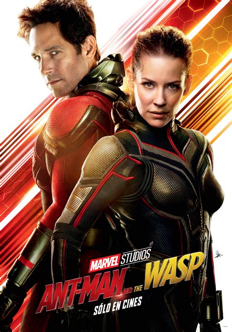 Affiche Du Film Ant Man Et La Guêpe Affiche 2 Sur 15 Allociné