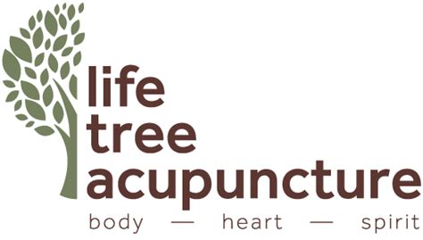 Life Tree Acupuncture Acupuncturist In Derby Nottingham And Manchester
