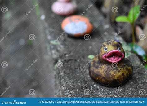 Sad Duck Stock Image Image Of Japan Duck Arima