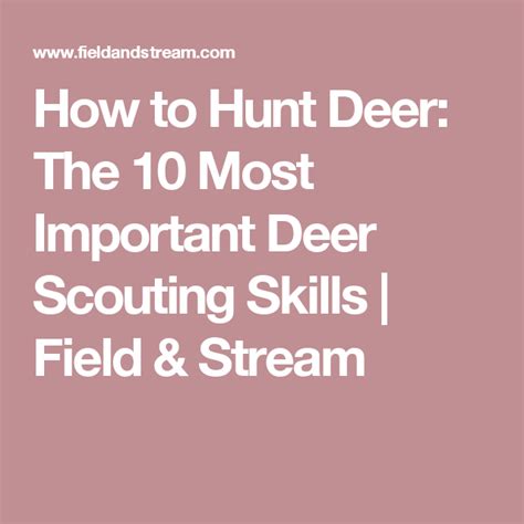 How To Hunt Deer The 10 Most Important Deer Scouting Skills Field