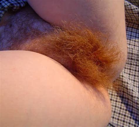 Hairy Red Bush Ginger Pussy Red Pubes Pics XHamster