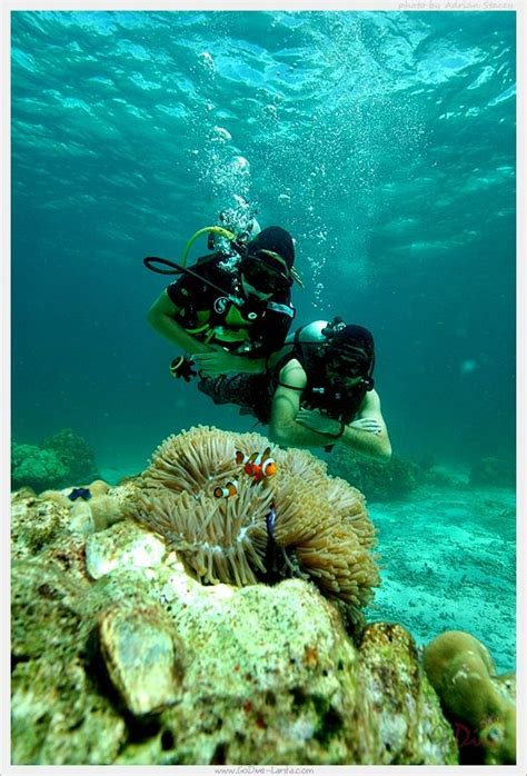 Scuba Diving With Go Dive Lanta Ko Lanta Krabi Thailand Krabi