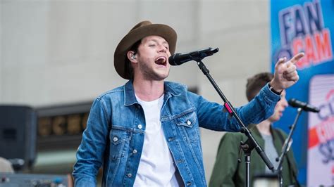The Show By Niall Horan2023 A Review Movie And Tv Reviews Celebrity