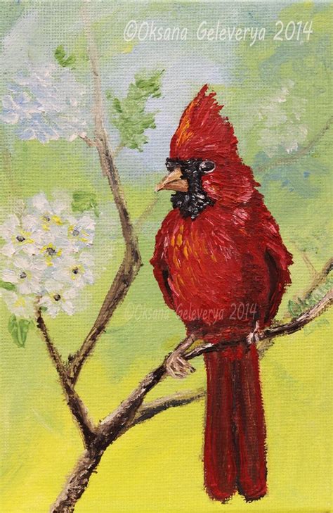 Cardinal Bird By Oksana007 On Deviantart Cardinal Birds Animal Art Art