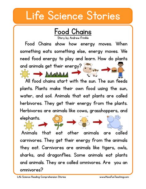 Food Chains Life Science Reading Comprehension Worksheet Have Fun