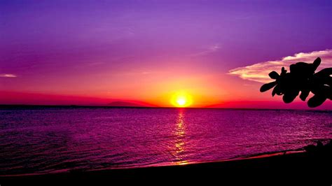 Ocean At Sunset