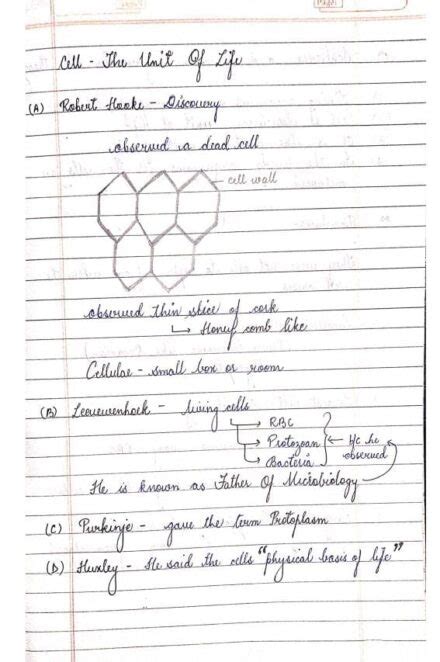 Cell The Unit Of Life Handwritten Notes Pdf Download Shop