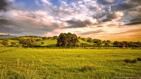 Beautiful Green Grassland Photography 1920x1200 Hd Wallpapers And