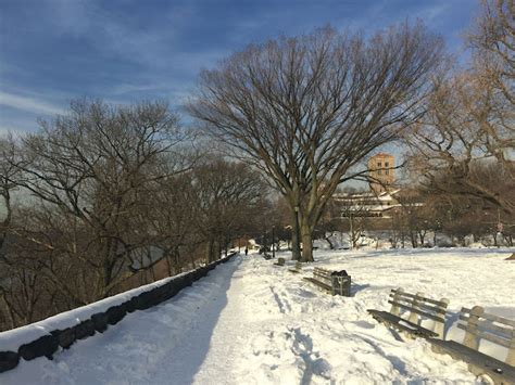 A Winter Walk In Fort Tryon Park And The Cloisters