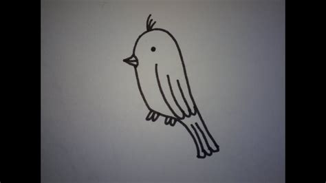 Wanneer je dagelijks een potlood pakt en veel oefent, dan zul je al snel merken dat het beter gaat. hoe teken je een vogeltje (makkelijk) (how to draw a bird ...