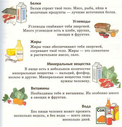 Кето диета продукты углеводы