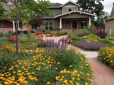 38 Best Drought Tolerant Plants That Grow In Lack Of Water Xeriscape