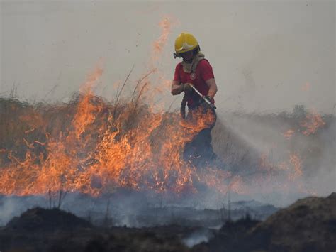 Reporte Oficial Por Los Incendios En Argentina Hay Focos Activos En