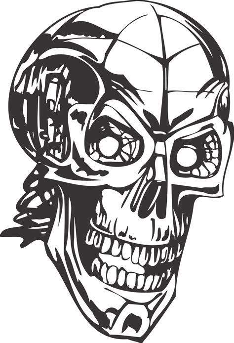 Human Skull Skeleton Dxf File Free Download