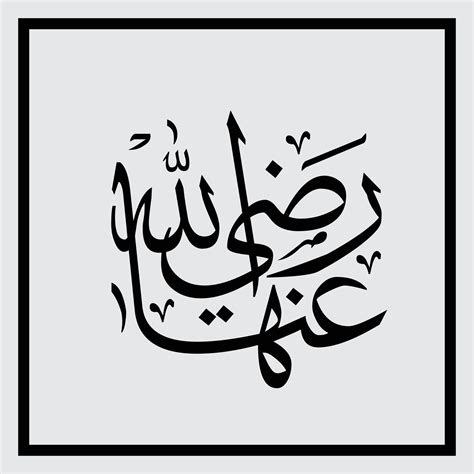 Arabic Calligraphy Radi Allahu Anha Vector Art Typography 14016336