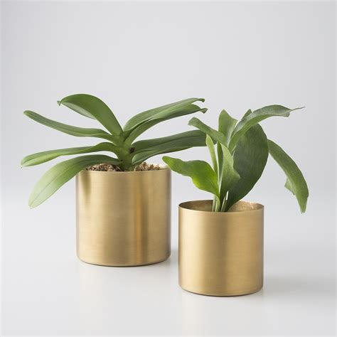 Brass Planter Modern Indoor Pots And Planters By