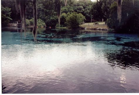 Silver Glen Springs Located In The Ocala National Forest And Operated