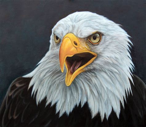 Bald Eagle Oil On Panel By Painterman33 On Deviantart Eagle Painting