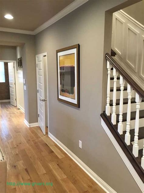 Grey Walls Light Hardwood Floors Of Charmant Best Wall Color For Light Wood Floors Ideas B