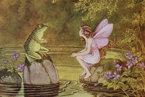 A Frog And A Fairy Forest Fairy Fairy Land Fairy Tales Vintage