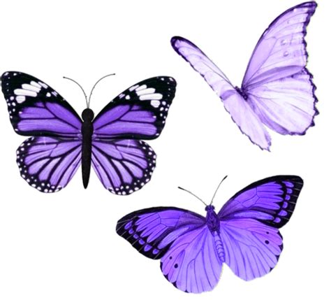 Aesthetic Purple Png Hd Transparent Png