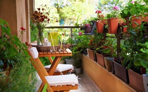 List Of 20 Gardening In An Apartment Balcony