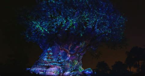 Sneak Peek At The Tree Of Life Holiday Awakenings At Disneys Animal