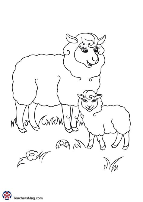 farm animals coloring page teachersmagcom