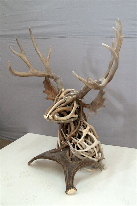 Deer Antler Artwork