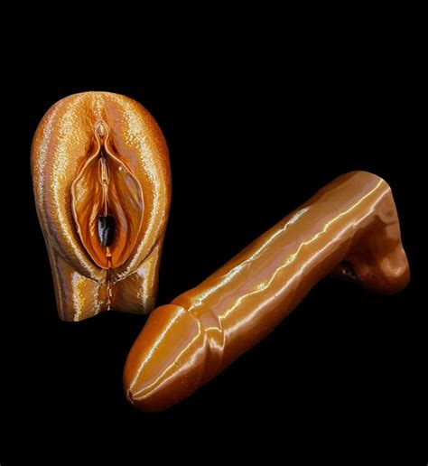 Matching Penis And Vulva Model Clitoris Vagina Pussy D Etsy