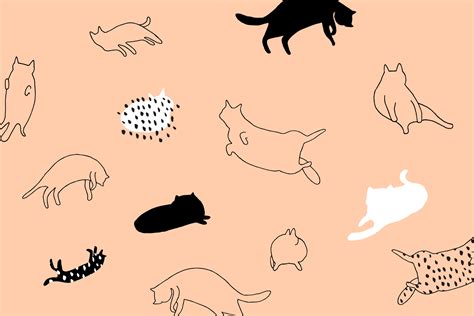 Kawaii Cat Desktop Wallpaper Petswall