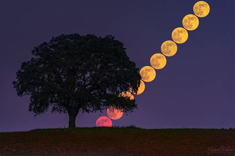 Cold Full Moon Rising Behind A Lonely Tree Photo And Time Lapse