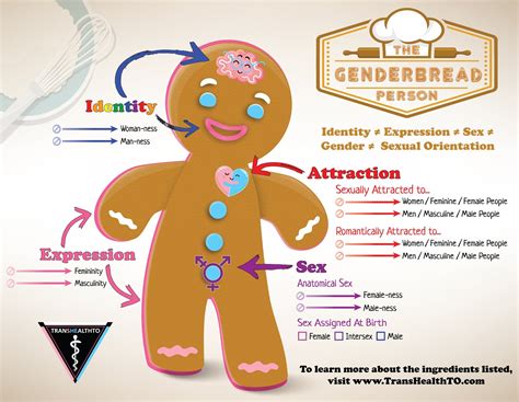Understanding Gender Transhealth Toronto