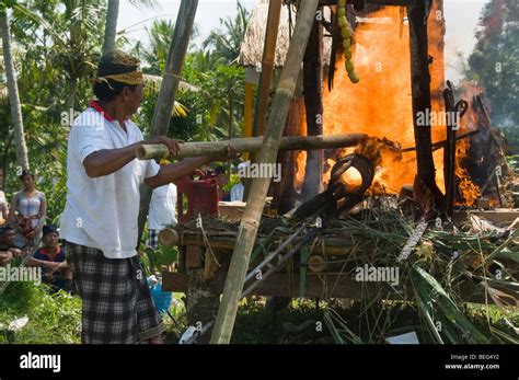 Traditional Funeral And Cremation Ceremony In Ubud In Bali Indonesia