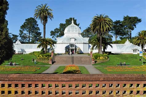 Guide To Golden Gate Park In San Francisco For Families Trekaroo