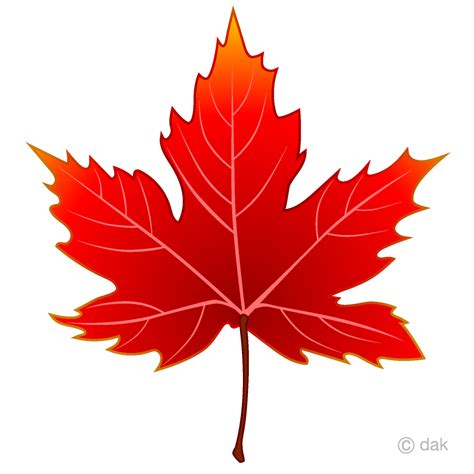 Red Maple Leaf Clip Art Free Png Image｜illustoon