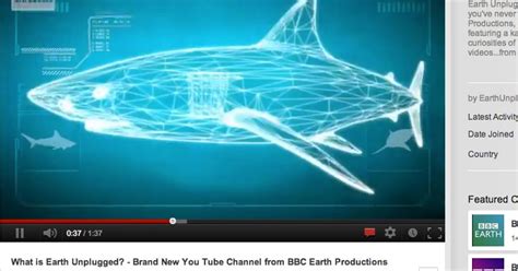 Bbc Launches Earth Unplugged Youtube Only Nature Channel Huffpost