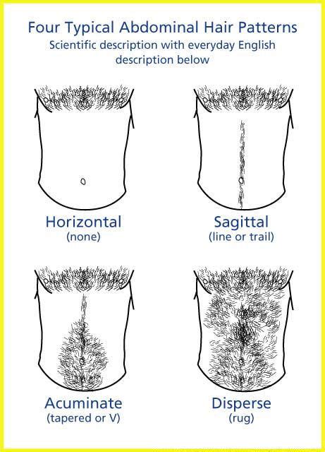 Types Of Pubic Hair Cuts Men Manscaping Groin Designs That Will Make