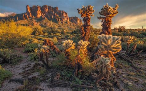 20 Superstition Mountains Hiking Trails You Cant Miss