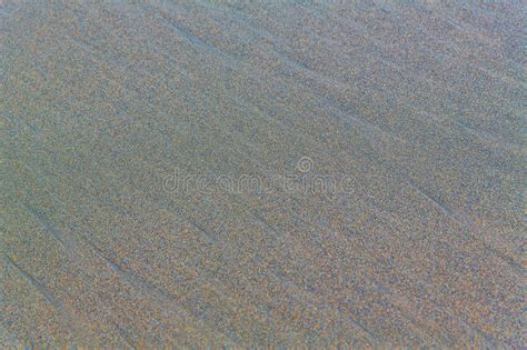 海滩沙子背景 在沙子的脚印 库存图片 图片 包括有 复制 特写镜头 硅土 设计 本质 生活 沙丘